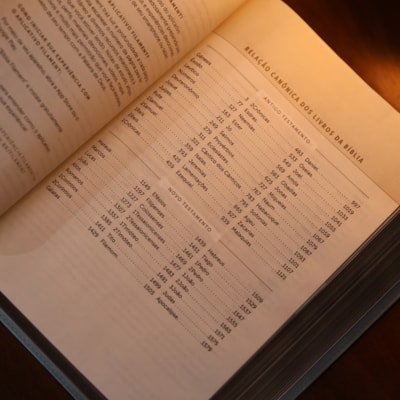 image_e9d20910-9000-40f0-86fc-661b13fe88ab