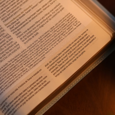 image_b560a290-9e06-47dc-8137-688e24a6e3b6