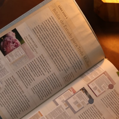 image_98e2fa26-3631-4085-8b7e-1ae4b60d1e32