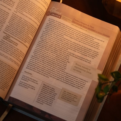 image_5bc8e8dd-3097-4e26-b499-d7375bd4ed9e