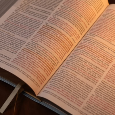 image_b4583aec-16f9-40f8-8fff-07ff078eca1a