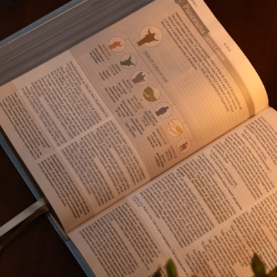 image_25f2df20-5e35-4964-81de-086433585860