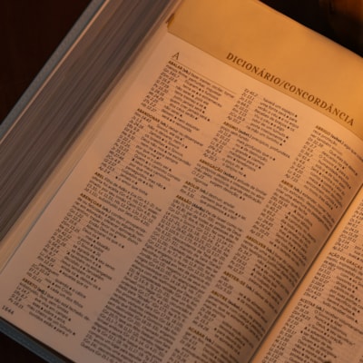 image_b5bcab6e-1f66-431f-aac4-646b3ed2cb4a