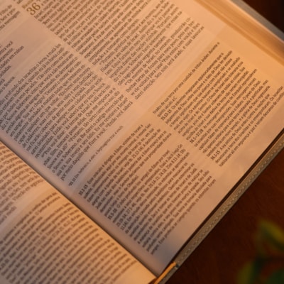 image_9decf88f-9739-49ea-afc9-d4f07454b70c