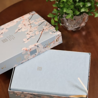 image_906434de-c621-4cb6-999a-449b39c758b3