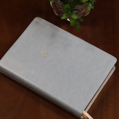 image_8938501f-1e2b-4648-adcf-bcf89d9a61ef