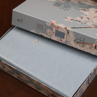 image_ee4df7c1-dc2f-41a7-8eae-8fcbc4d95742