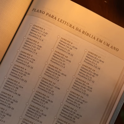 image_e06f7557-13fe-4c14-9aae-b4c4da50f2df