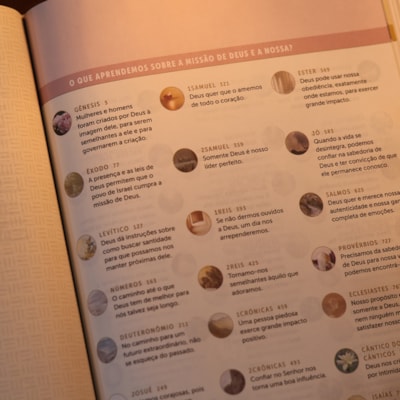 image_ec8a42d3-38ed-4be6-99c3-f5e9873de256