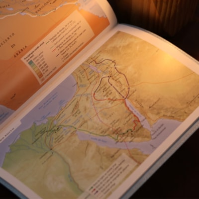 image_62e29017-64da-427c-8e70-cd46cd714bf1