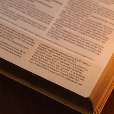 image_c228645d-f7c4-4c72-a0d1-bae4778cc589