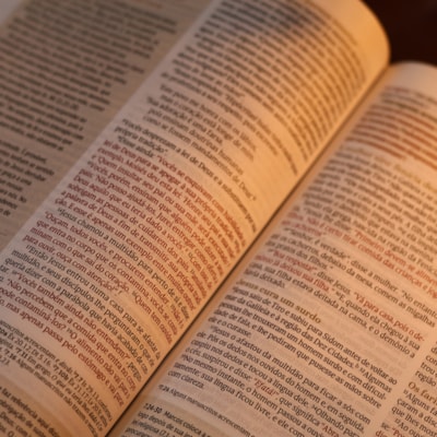 image_e419e2d3-77cb-4943-a2c1-a6665661baf0