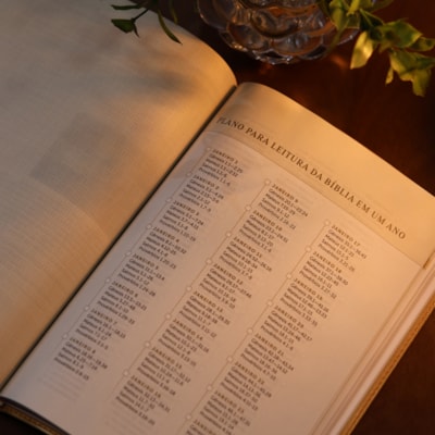 image_1ad3799b-1d4e-41e7-8d3a-2c4133482086