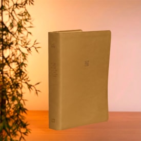 Segunda imagem do produto Bíblia de Estudo Para Toda Mulher | NVT | Capa Bege