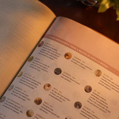 image_33a8ed0d-a694-481b-be64-bcb1b1a386c5