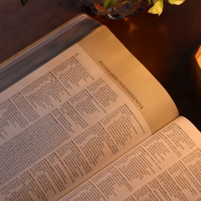 image_c8b5c4d6-2a60-4cd4-807b-ff21ab695eb5