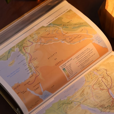 image_d5f6d6b7-f314-4e3d-a166-a3f390b25daf