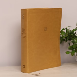 Segunda imagem do produto Bíblia de Estudo Para Toda Mulher | NVT | Capa Bege