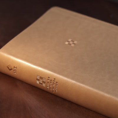 image_af3c6a8b-e0c8-4834-912d-21729f44fc11