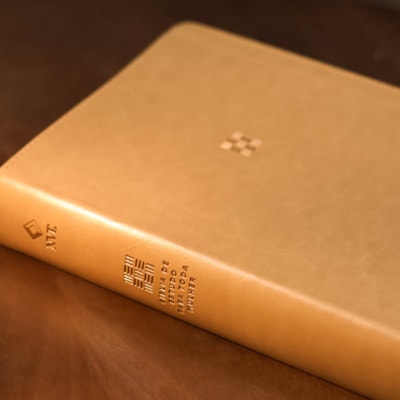 image_82c391a9-bd5a-4829-804a-c2100069a6bf