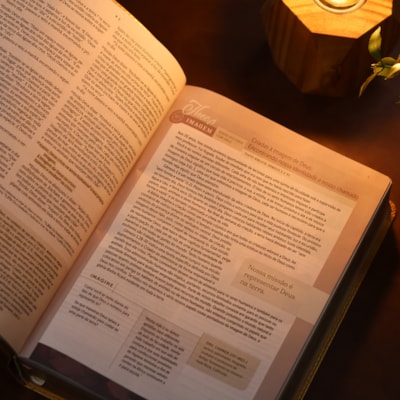 image_fd37d058-eced-41f1-bbe7-e081d0aa9f63