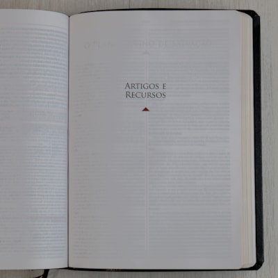 image_b2bdbe45-57aa-4156-bf3c-244aa3acd5a6