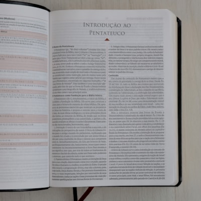 image_49efb7ae-f7b2-425a-ac5f-260296aaf7d7