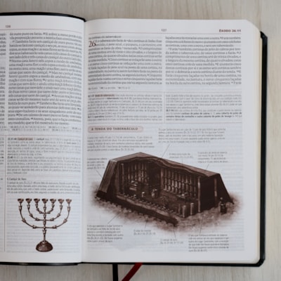 image_d0b37aea-cff2-4ade-97b9-bb05d74765bc