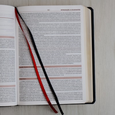 image_eda957ad-4c53-41b8-9c26-43c41e1dd42d