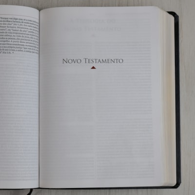 image_3994cbb4-5a5d-4b73-bd10-a8b0e1c8db7a