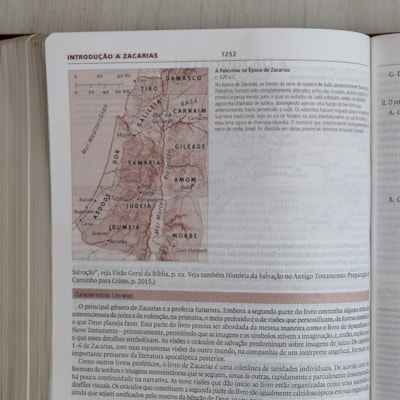 image_7900fe5f-7c4a-4cc3-bcf7-d1c1666fd4fa