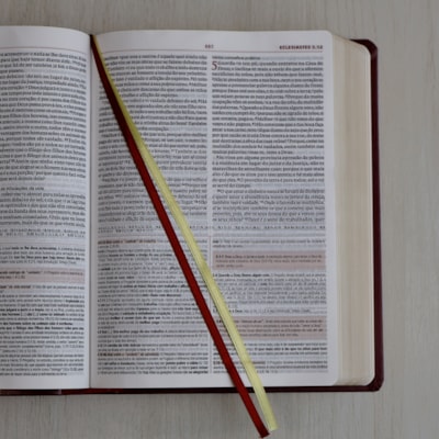 image_5caba059-51c8-44f5-b10b-2866ca68ae08