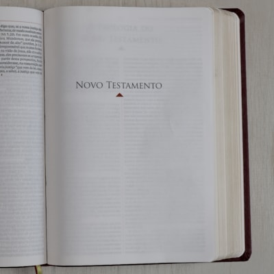 image_8d1fc6e4-fa98-4cca-b702-43627cd25dc1