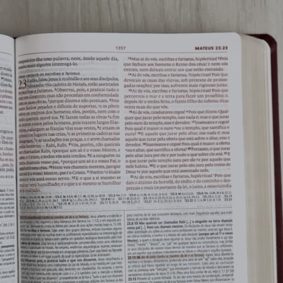 image_1bdbb683-50bf-4b70-ae32-35d6ba25d9a1