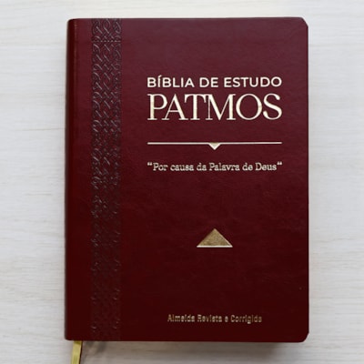 image_79f9aab3-04ae-4464-8dff-d5ae7c2e2ee3