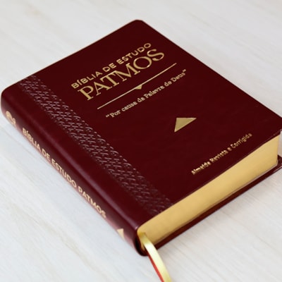 image_0b59606a-440d-4113-8b77-507a02b536ca