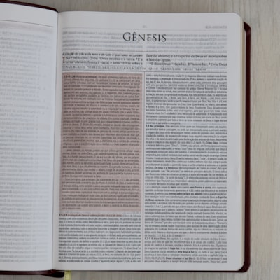 image_a1c25d32-2505-4e38-8f3f-2625ce3646ea