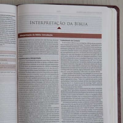 image_61938aff-6d47-4fdc-bc51-ddd113f440c8