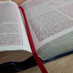 Bíblia de Estudo Pentecostal | Edição Global | ARC | Letra Grande | Capa Luxo Azul