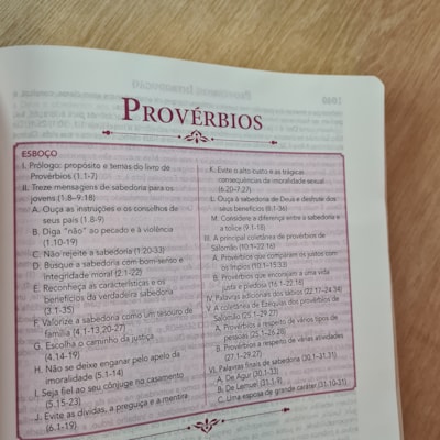 image_d53c97a2-3da1-445d-9709-eccf5749de58