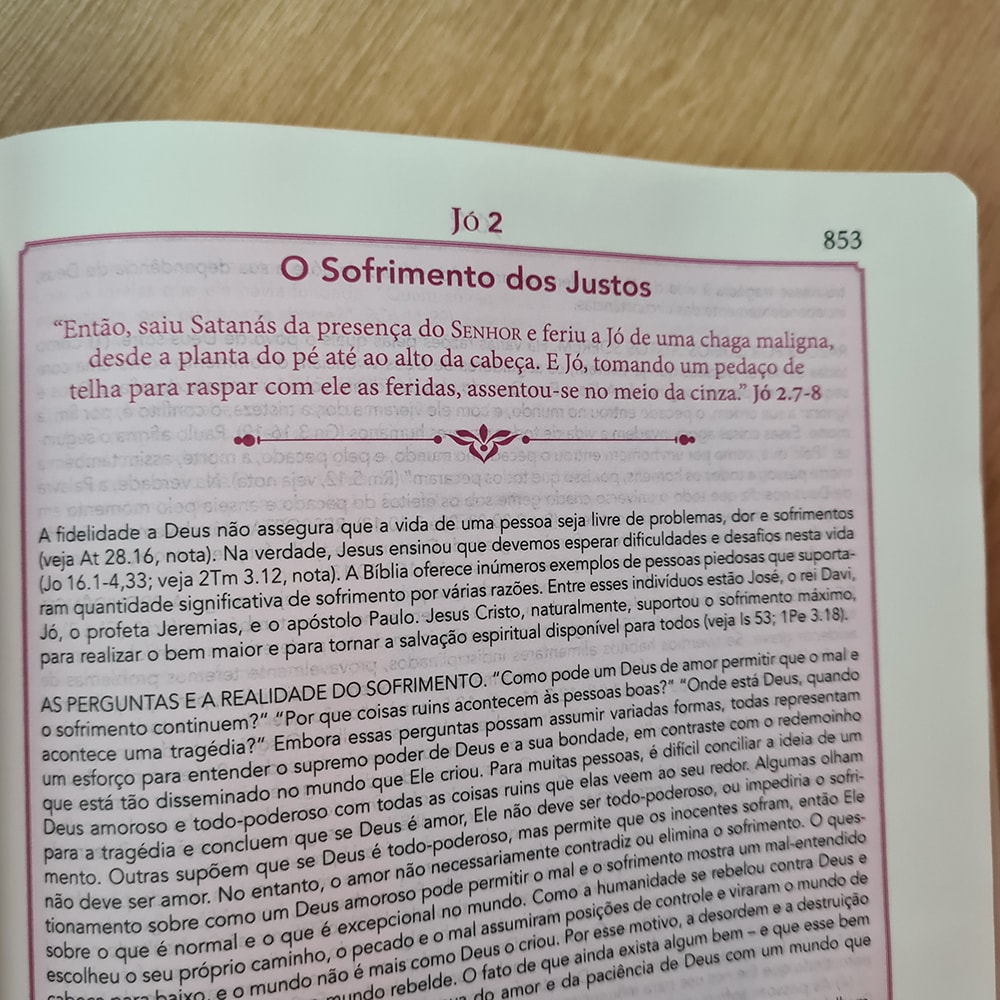 Bíblia De Estudo Pentecostal | Edição Global | ARC | Letra Grande ...