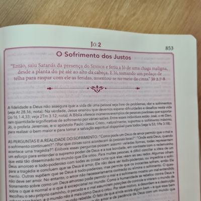 image_f3089dfe-036a-41e9-8afc-03a625456b79