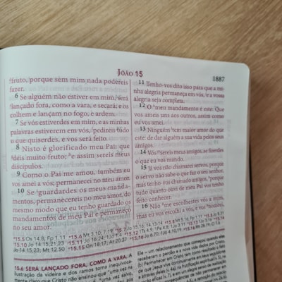 image_0e53e5e3-bbbb-4ec3-b2d2-9219b1ca767c