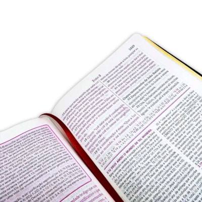 image_2b017a86-7e0e-43dd-ba6b-cdab0729efe8