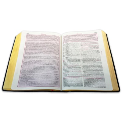 image_d30dd5a4-75ba-4047-b3de-61af5289c6ba