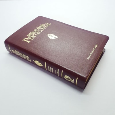 image_21916556-72bd-4d72-97c0-96de00f216de