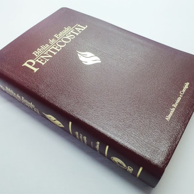 image_4ac771e5-afac-4f3e-aba2-1dad5a4b94e4