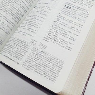 image_fa11495b-8108-4b2a-a869-5a11f38d1d49