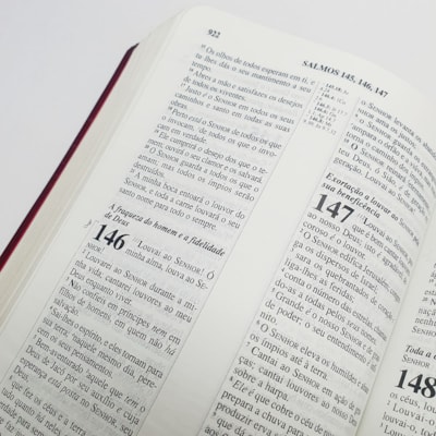 image_f2f23c93-8e8c-49b5-b79f-272b30be30a1