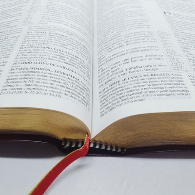 image_f32ea4b7-8c00-4cd8-aa71-8fc80ce9db19